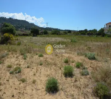 Αγροτεμάχιο 9180τ.μ. προς πώληση φωτογραφία 2159988