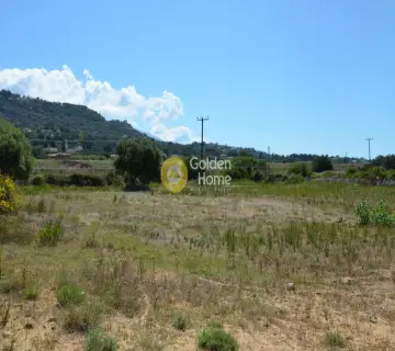 Αγροτεμάχιο 9180τ.μ. προς πώληση φωτογραφία 2159989