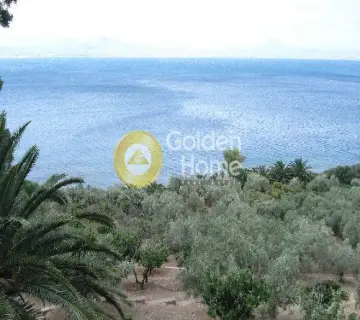 Μονοκατοικία 300τ.μ. προς πώληση φωτογραφία 1