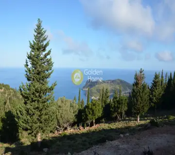 Αγροτεμάχιο 4250τ.μ. προς πώληση φωτογραφία 2159962