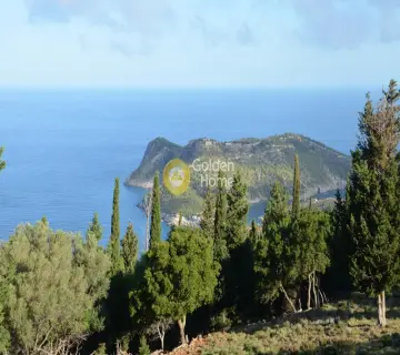 Αγροτεμάχιο 4250τ.μ. προς πώληση φωτογραφία 2159964