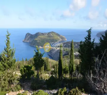 Αγροτεμάχιο 4250τ.μ. προς πώληση φωτογραφία 2159965