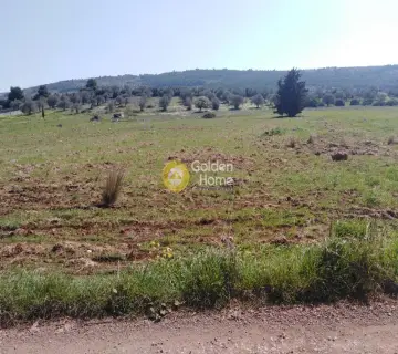 Οικιστικό 6000τ.μ. προς πώληση φωτογραφία 2
