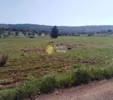 Οικιστικό 6000τ.μ. προς πώληση φωτογραφία 3