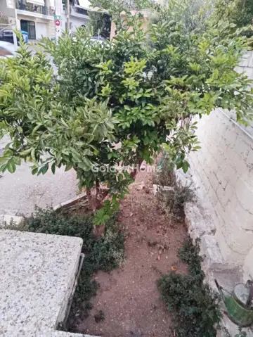 Οικιστικό 183τ.μ. προς πώληση φωτογραφία 1