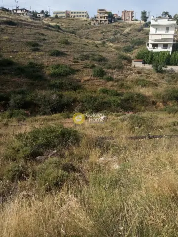 Residential 625m<sup>2</sup> for sale photo 9