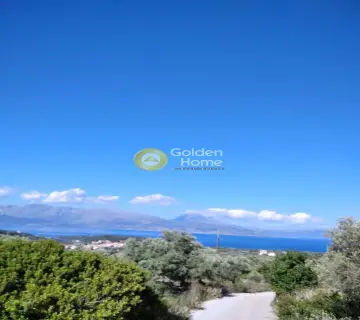 Αγροτεμάχιο 4553τ.μ. προς πώληση φωτογραφία 2