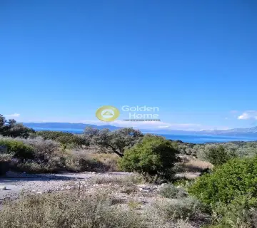 Αγροτεμάχιο 4553τ.μ. προς πώληση φωτογραφία 3