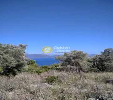 Αγροτεμάχιο 4553τ.μ. προς πώληση φωτογραφία 4