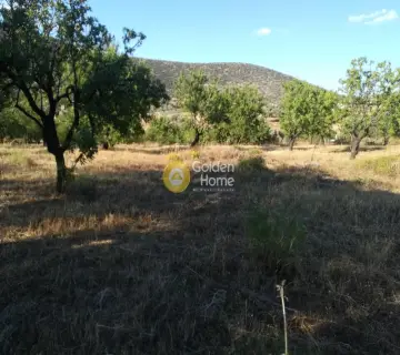 Οικιστικό 6535τ.μ. προς πώληση φωτογραφία 1
