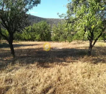 Οικιστικό 6535τ.μ. προς πώληση φωτογραφία 2