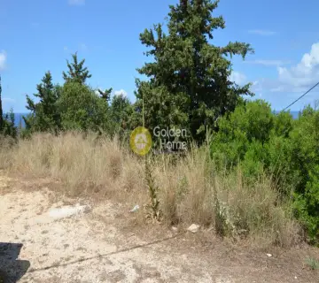 Residential 825m<sup>2</sup> for sale photo 2164058
