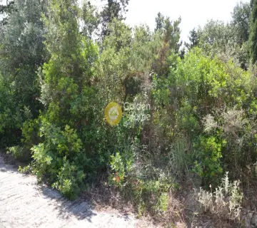 Residential 825m<sup>2</sup> for sale photo 2164061