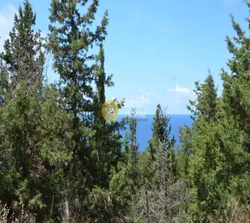 Residential 825m<sup>2</sup> for sale photo 2164062