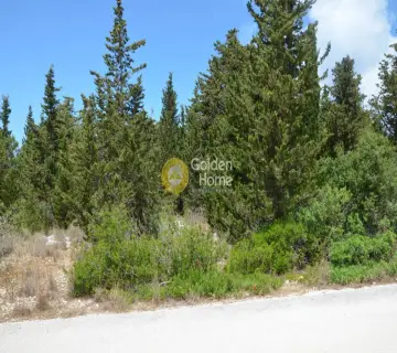 Residential 940m<sup>2</sup> for sale photo 2164064
