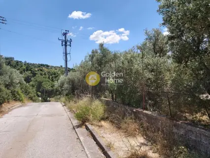 Residential 1642m<sup>2</sup> for sale photo 1