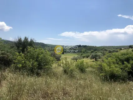 Residential 8000m<sup>2</sup> for sale photo 6