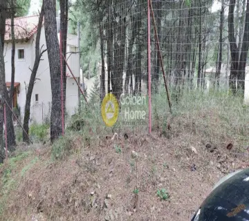 Οικιστικό 800τ.μ. προς πώληση φωτογραφία 2
