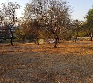Residential 1300m<sup>2</sup> for sale photo 3