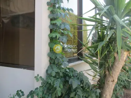 Μονοκατοικία 123τ.μ. προς πώληση φωτογραφία 5