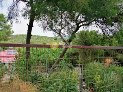 House 50m<sup>2</sup> for sale photo 12