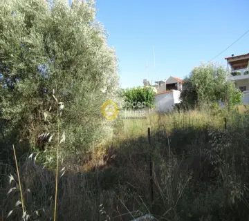 Residential 514m<sup>2</sup> for sale photo 12