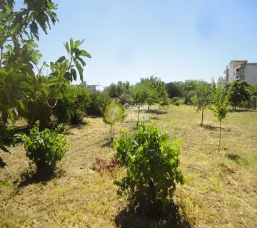 Residential 1000m<sup>2</sup> for sale photo 2212311