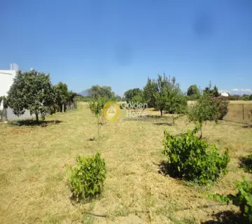 Residential 1000m<sup>2</sup> for sale photo 2212311