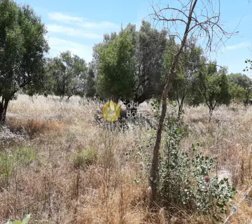 Parcel 1367m<sup>2</sup> for sale photo 12