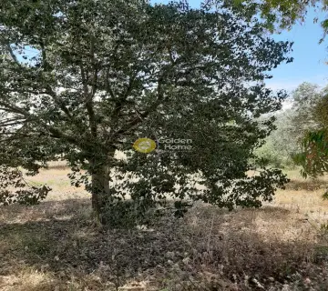 Parcel 1367m<sup>2</sup> for sale photo 23