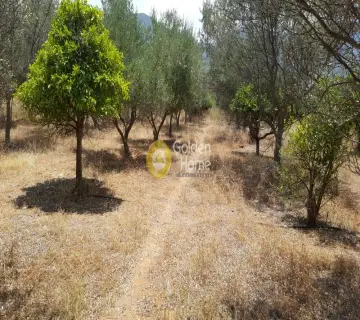 Parcel 5027m<sup>2</sup> for sale photo 2188342