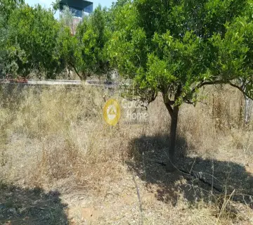 Parcel 5027m<sup>2</sup> for sale photo 2188333