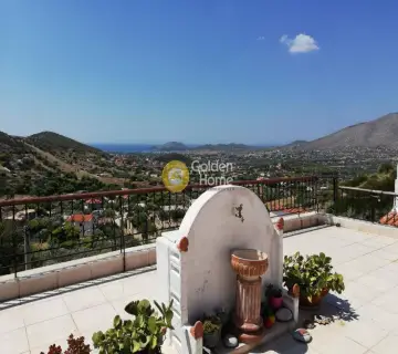 Μονοκατοικία 222τ.μ. προς πώληση φωτογραφία 4