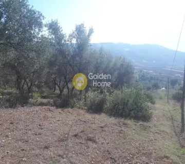 Area 36000m<sup>2</sup> for sale photo 1
