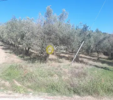 Area 36000m<sup>2</sup> for sale photo 7
