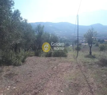 Area 36000m<sup>2</sup> for sale photo 9