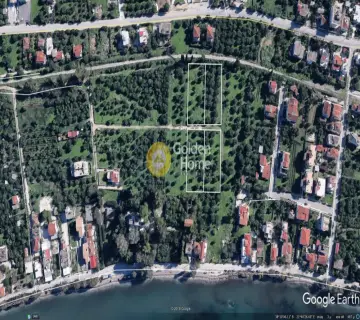 Golden Home Property Image