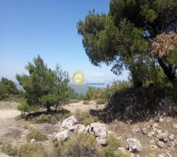 Οικιστικό 2500τ.μ. προς πώληση φωτογραφία 2221011