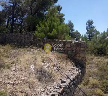 Οικιστικό 2530τ.μ. προς πώληση φωτογραφία 2220894