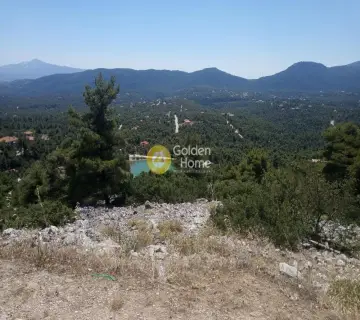 Οικιστικό 2530τ.μ. προς πώληση φωτογραφία 2220896