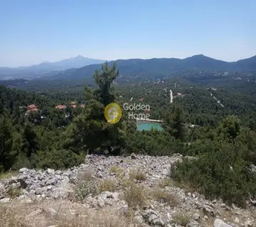 Οικιστικό 2600τ.μ. προς πώληση φωτογραφία 2220874