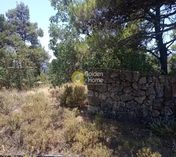 Οικιστικό 2600τ.μ. προς πώληση φωτογραφία 2220876