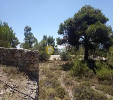 Οικιστικό 10250τ.μ. προς πώληση φωτογραφία 2220829
