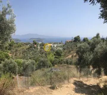 Οικιστικό 4142τ.μ. προς πώληση φωτογραφία 1