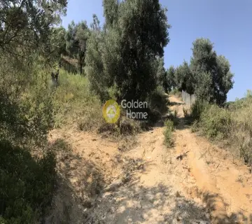 Οικιστικό 4142τ.μ. προς πώληση φωτογραφία 2218968
