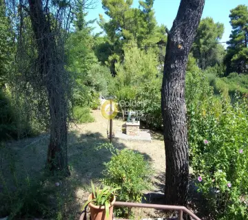 Μονοκατοικία 175τ.μ. προς πώληση φωτογραφία 34