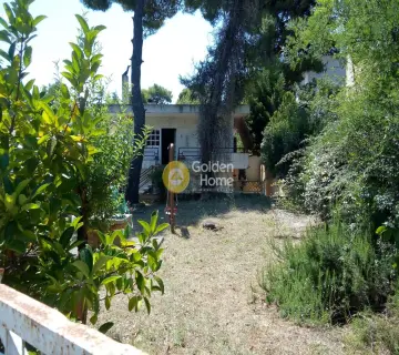 Μονοκατοικία 175τ.μ. προς πώληση φωτογραφία 25