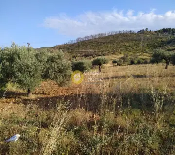 Parcel 10000m<sup>2</sup> for sale photo 3
