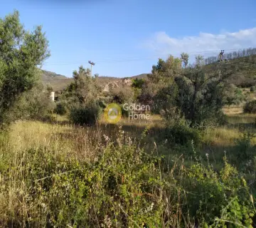 Parcel 10000m<sup>2</sup> for sale photo 4