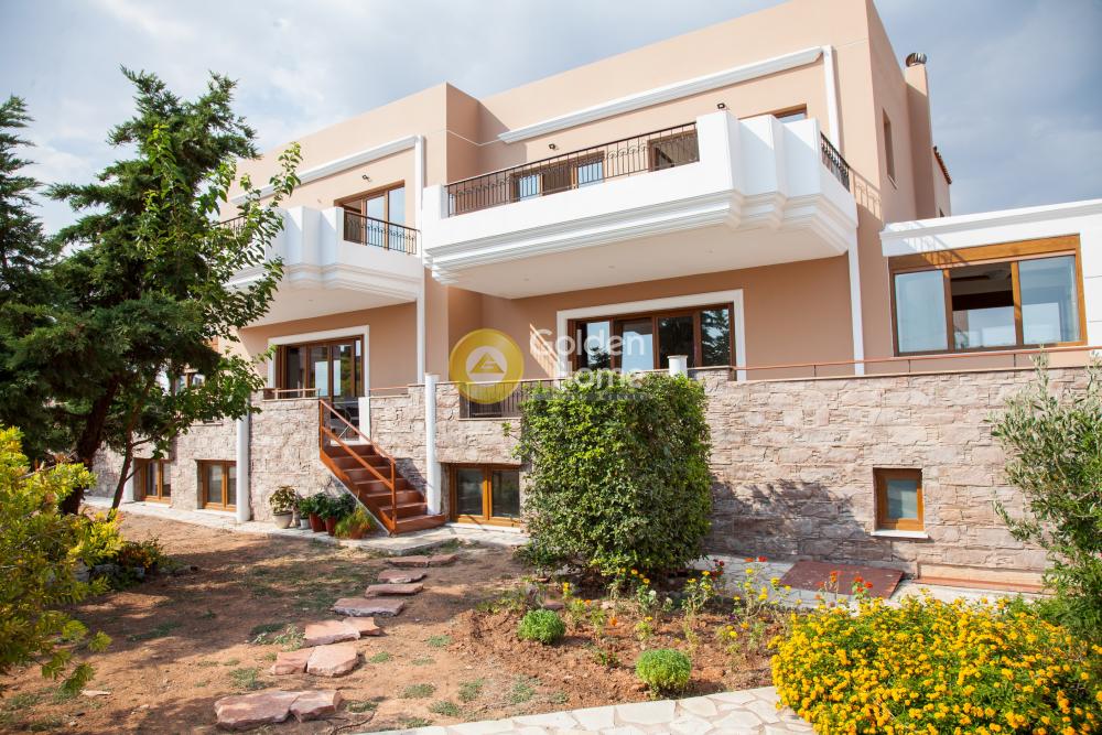 Golden Home Property Image